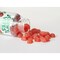 Chewy Vites Adult Multi-Vitamin Advance Berry Flavour 60 Gummies