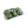 Premium Capsicum Green Prepack