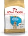 Royal Canin Bhn Labrador Puppy 12 Kg Breed Health Nutrition Dog Food, Multicolor,Labrador Puppy Dog Food