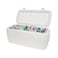 Igloo Polar Cooler 00044577 White 113L