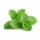 Mafa Mint - 100 gram