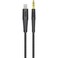 Budi Lightning To AUX Cable 1.2 Meter J150