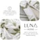 Luna Home Queen size 6 pieces, duvet cover set, green plant leaf design.