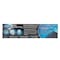 Wisdom Charcoal Active Whitening Toothpaste 100ml