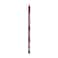 Wet N' Wild Color Icon Lip Liner Pencil, 717 Berry Red