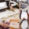 Aiwanto 60*90cm Soft Area Rug Floor Mat Bedroom Floor Carpet Decoration Rug Area Mat Bathroom Living Room Mat Black Mat Carpet