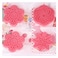 Qlux L-553 Deco Cake Stamp 4 Pieces Pink