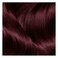 Garnier Color Naturals Hair Color 3.61 Lucious Blackberry