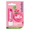 Labello Lip Balm, Watermelon - 4.8 gm