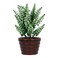 Flower Pot