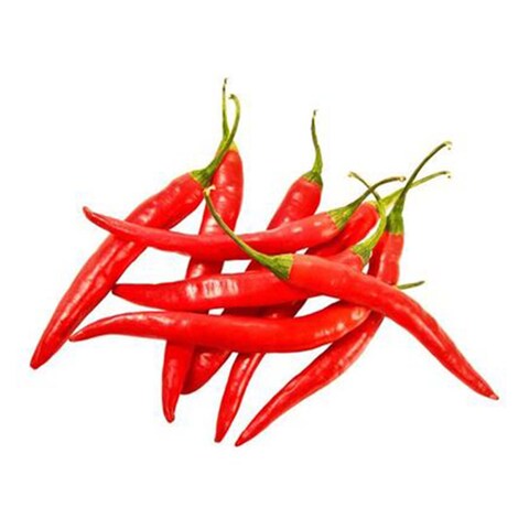 Red Bird Chilli