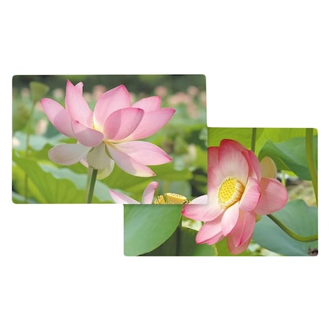EASY LIFE D/SIDED PLACEMAT /RML