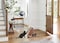 Cat Scratching Sloppy Board Box, Triangular Scratcher Box, Scratching Catnip, Cat Play, Natural Scratching, Cozy Cat Scratching, Redish Color, Large L=27cm