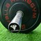 Yalla HomeGym High-Quality Olympic Bumper Weight Plate for Barbells PAIR of 25KG