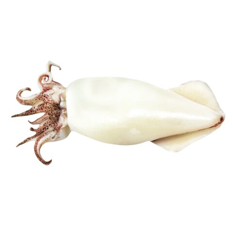 Frozen Squid Cleaned