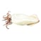 Frozen Squid Cleaned