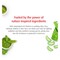 Lifebuoy Hand Wash Matcha 200 ml