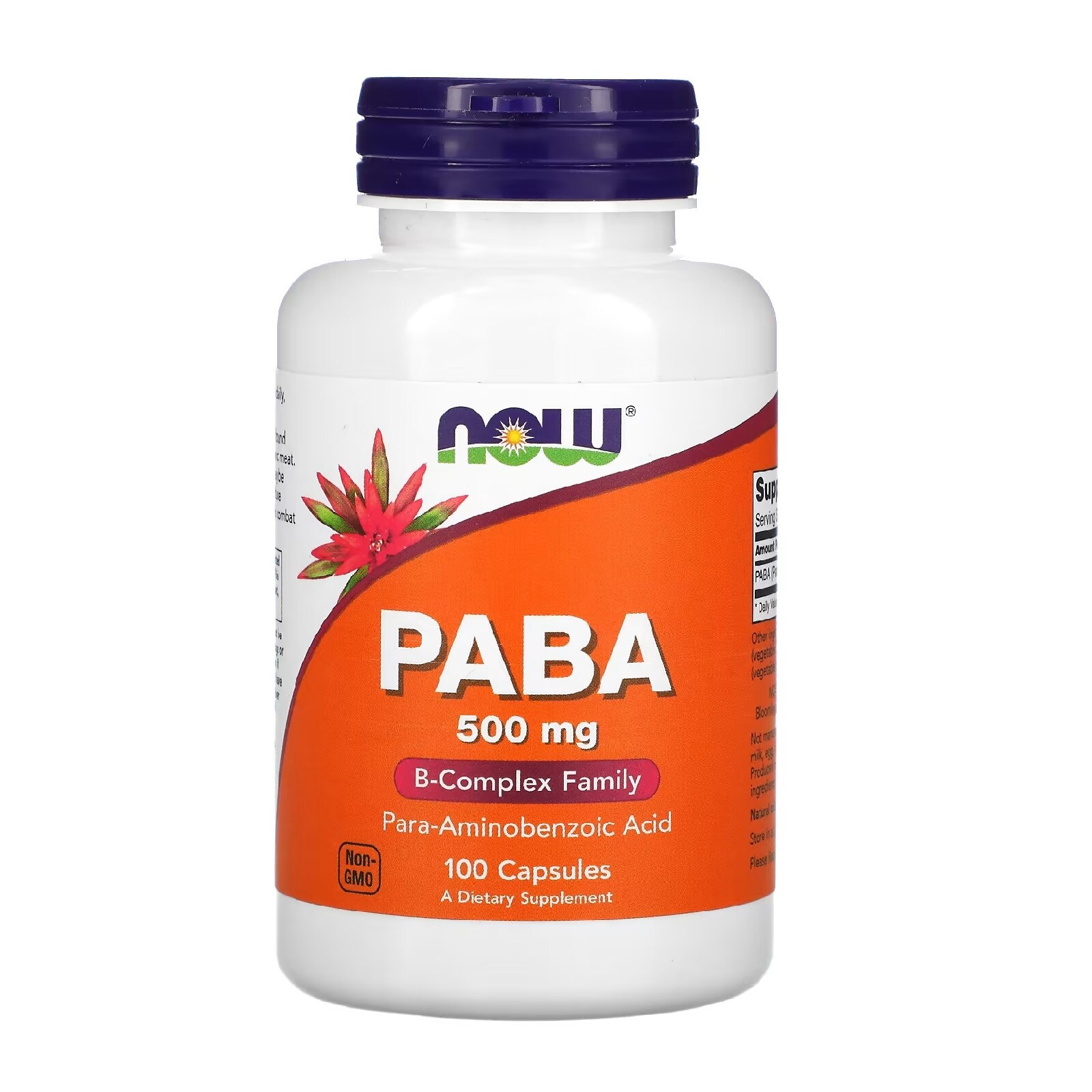 Buy Now Foods Paba, 500mg, 100 Capsules Online | Carrefour KSA