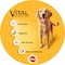 Pedigree Original Wet Food for Dog, 400g