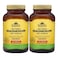 Sunshine Nutrition High Potency Magnesium With Vitamin B6 Dietary Supplement 100 Tablets Pack of 2