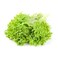Lettuce Bunch Per pc