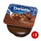 Danone Danette Chocolate Pudding - 100 Gram - 3 Counts
