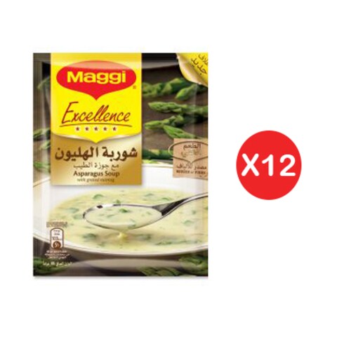 MAGGI SP EXC ASPG 10X49GM