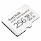 SanDisk High Endurance Video MicroSDXC Card 256GB