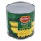 Del Monte Whole Kernel Corn 2.4 kg