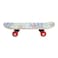 Skate Board