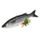 Fresh Mullet Fish White Medium per kg