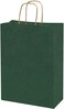 Markq Dark Green Paper bags with handles 27 x 22 x 11 cm Large Kraft Gift bags for Birthday Party Favors, Weddings, Retail, Baby Shower (12 Bags)