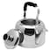 Raj Stainless Steel Tea Kettle Silver 3L