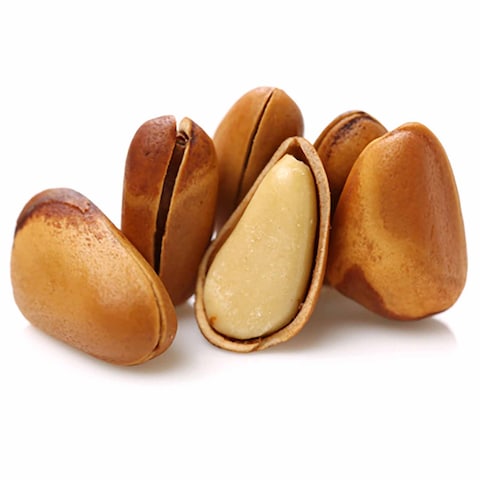 صنوبر