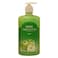 ALISON&#39;S APPLE HAND WASH300ML