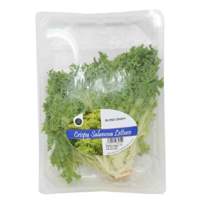 Salad Curly Blond Pack