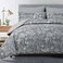 Dream king comforter 220x230cm 1 piece assorted designs