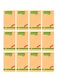 Fantastick 12-Piece Sticky Notes 2x3 Inch Size Orange