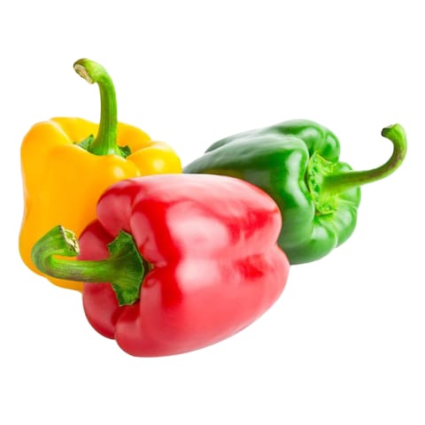 Tricolor Capsicum