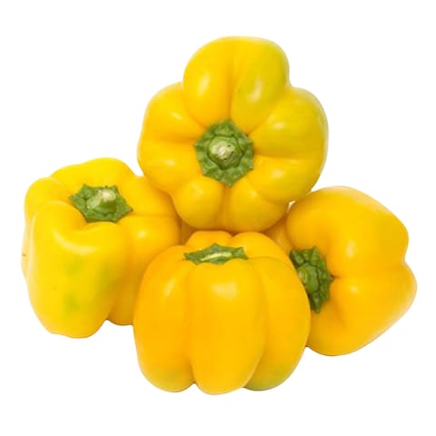 Capsicum Yellow