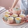 Lovely Modern Irregular Pink Green Petals Shape Teapot Minimalist Sublimation Ceramic Coffee Mug Sets With Tray