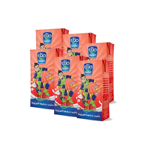 Nadec Milk Strawberry Flavor 125 Ml 6 Pieces