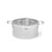 Fobus Stock Pot With Lid Silver 28x10cm