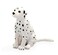 Toy School - Dalmatian Puppy Figurine