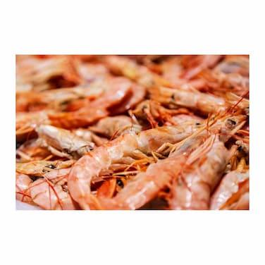 Defrosted Langoustines - 10- 20