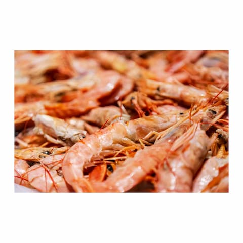 Defrosted Langoustines - 10- 20