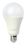 Terminator E27 LED Bulb - 5W Warm White