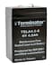 Terminator brand SLA Battery 6V - 4.5A (Taiwan)