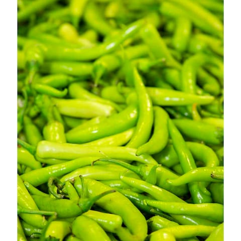 Green Chili Pepper