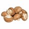 Mushroom Chestnut Brown Holland